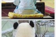 做一回娱乐圈吃瓜群众,揭秘明星幕后故事，做一回吃瓜群众！